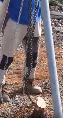 用手拉葫蘆和起重三腳架拽起木樁